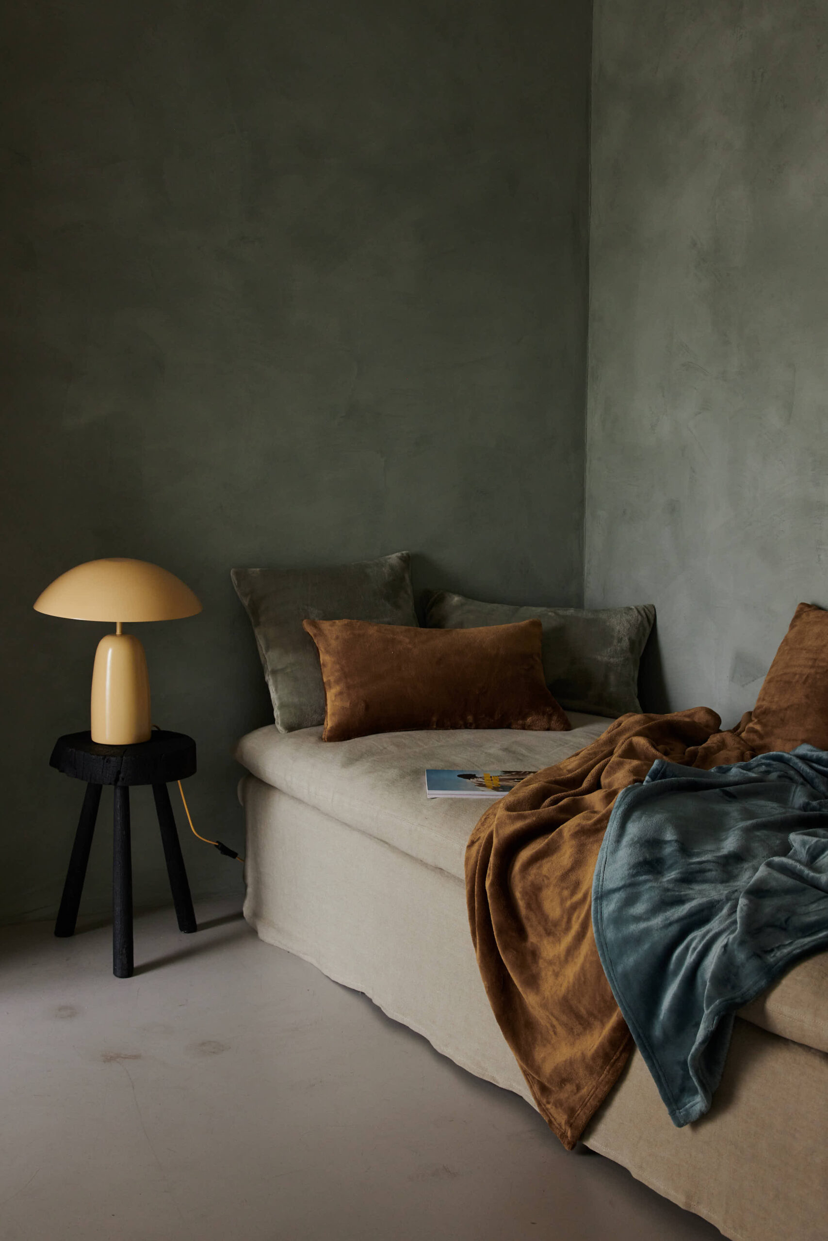 NOUVEAUTE CASTOR-002